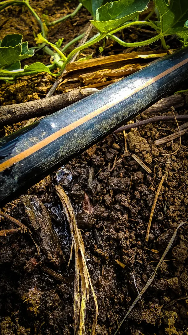 Distribuição de kits de irrigação pelo Governo de Minas acelerou desenvolvimento no campo em 2025