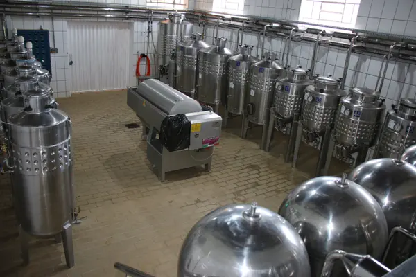 Novos vinhos da Epamig exploram o potencial de madeiras brasileiras