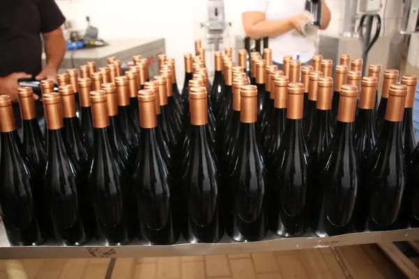 Novos vinhos da Epamig exploram o potencial de madeiras brasileiras