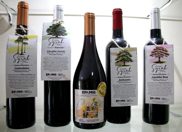 Novos vinhos da Epamig exploram o potencial de madeiras brasileiras