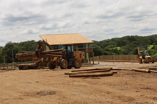 Silvicultura impulsiona produção na agroindústria e no campo