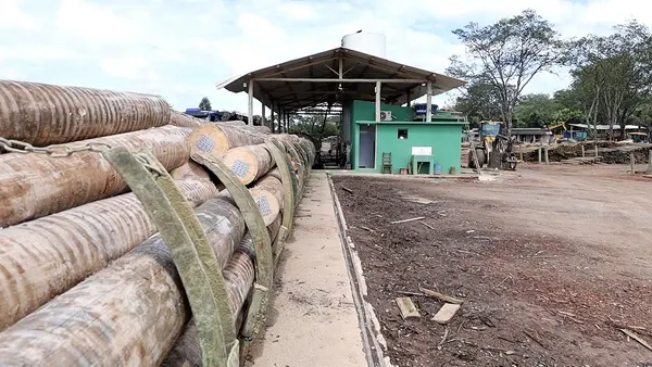 Silvicultura impulsiona produção na agroindústria e no campo