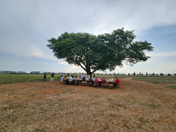 Fazenda Rainha da Paz, componente da Rota Café do Cerrado Mineiro