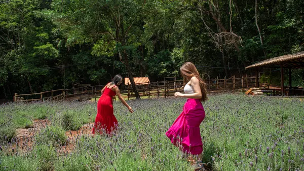 Vila da Lavanda, dentro da Rota das Artes