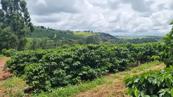 Fazenda Lagoinha