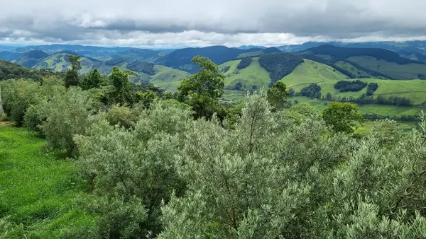 Fazenda Santa Helena