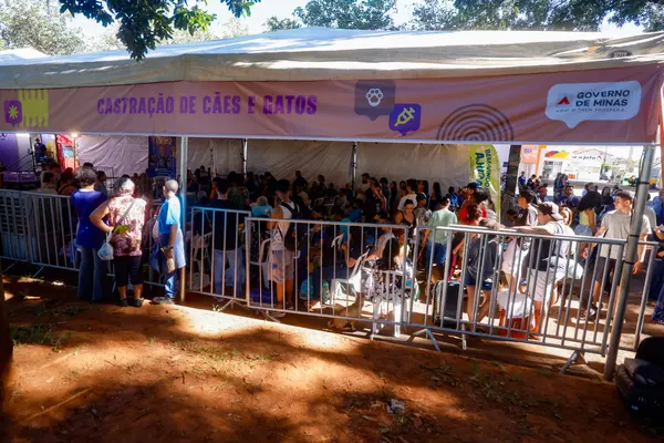 Governo de Minas inicia Praça de Serviços com atendimento direto à população em Uberlândia 