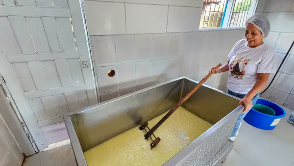 Regulamentação técnica do Queijo Artesanal do Vale do Suaçuí permite sua venda em todo o país