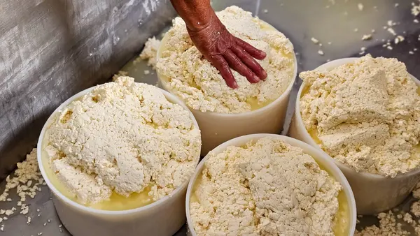 Regulamentação técnica do Queijo Artesanal do Vale do Suaçuí permite sua venda em todo o país