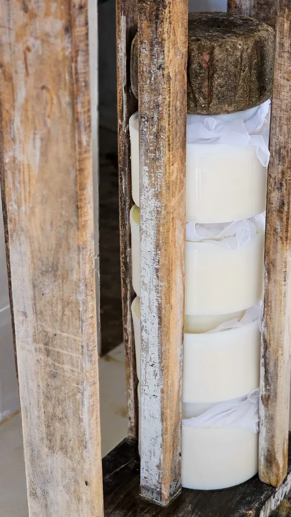 Regulamentação técnica do Queijo Artesanal do Vale do Suaçuí permite sua venda em todo o país