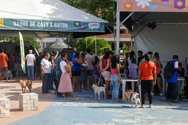 Praça de Serviços do Governo de Minas chega ao Vale do Aço com diversos atendimentos à população em Ipatinga