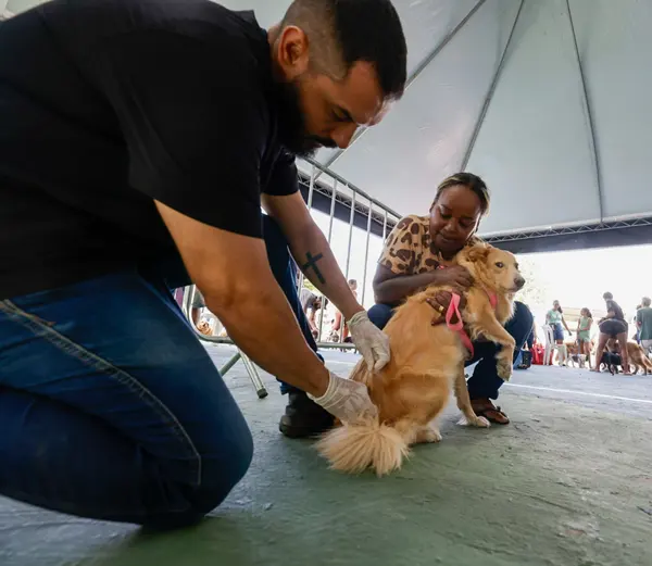 Praça de Serviços do Governo de Minas chega ao Vale do Aço com diversos atendimentos à população em Ipatinga