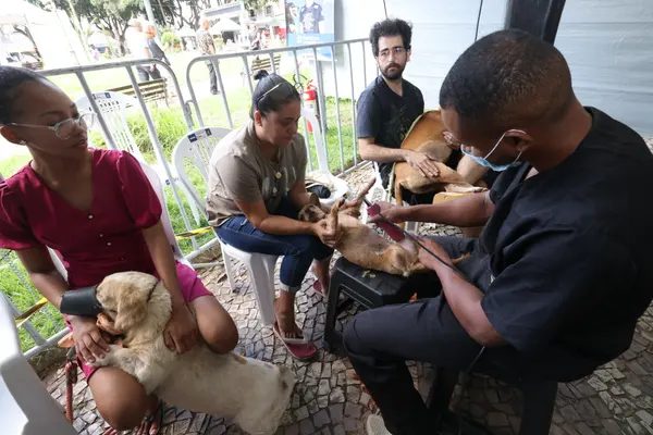 Ubá é a terceira cidade mineira a receber a Praça de Serviços – Governo Presente no estado