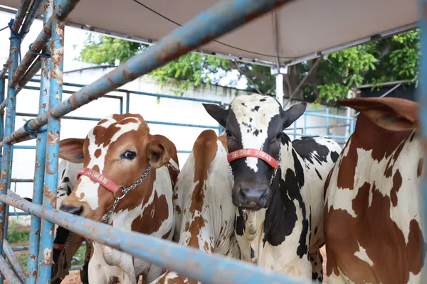 Governo de Minas participa da abertura da 9ª edição da Feragro em Capelinha