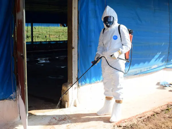 IMA vistoria 50 propriedades rurais em exercício simulado de gripe aviária