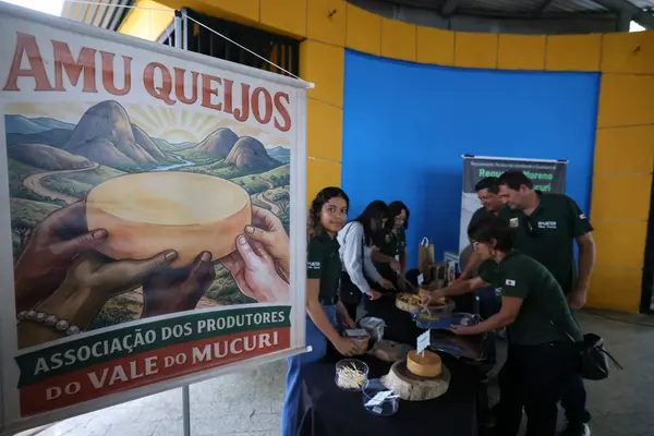 Governo de Minas anuncia regulamentação do requeijão moreno e impulsiona economia do Vale do Mucuri