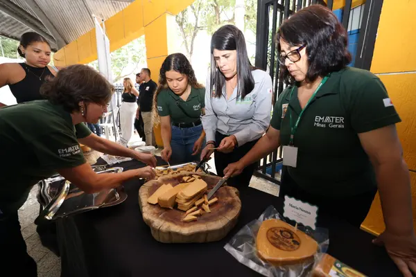 Governo de Minas anuncia regulamentação do requeijão moreno e impulsiona economia do Vale do Mucuri