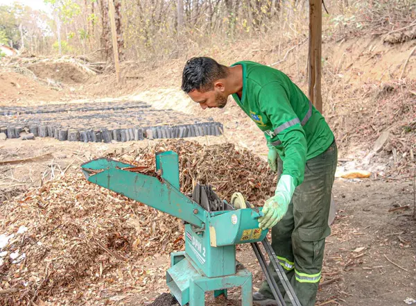 Trabalho realizado no viveiro municipal de Montes Claros