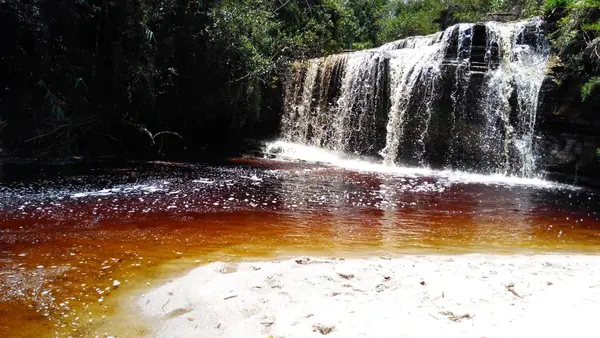 Trilha do Peão foi aberta com técnicas de manejo sustentáveis