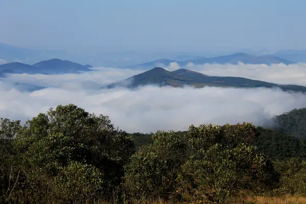 Iniciativa busca contribuir para a inovação na gestão das áreas protegidas do Estado de Minas Gerais