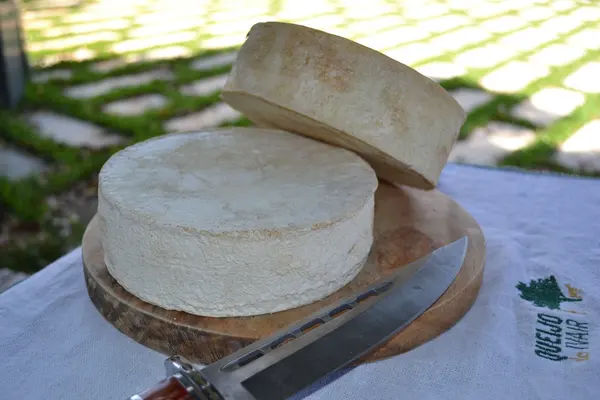 Queijo mineiro da Canastra recebeu nota 88, em escala de 0 a 100