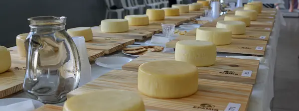 Inscrições abertas para o 46º Concurso Nacional de Produtos Lácteos