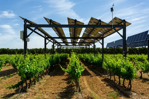 Produção de energia agrivoltaica em Piolenc, na França