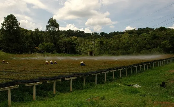 Usuários têm até o fim de março para fazer a Declaração Anual de Uso de Recursos Hídricos