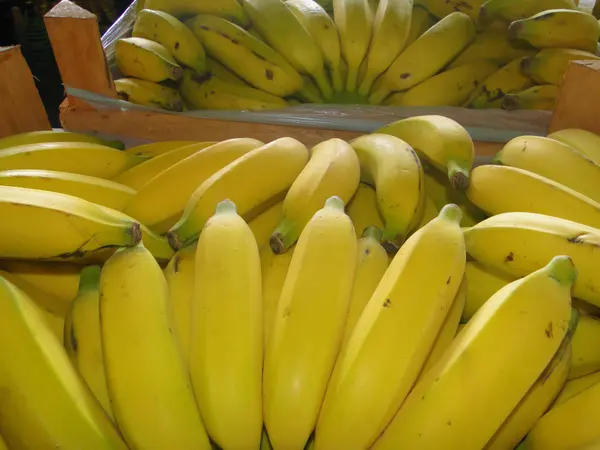 Fórum de Desenvolvimento Territorial da Fruticultura será lançado em Pirapora
