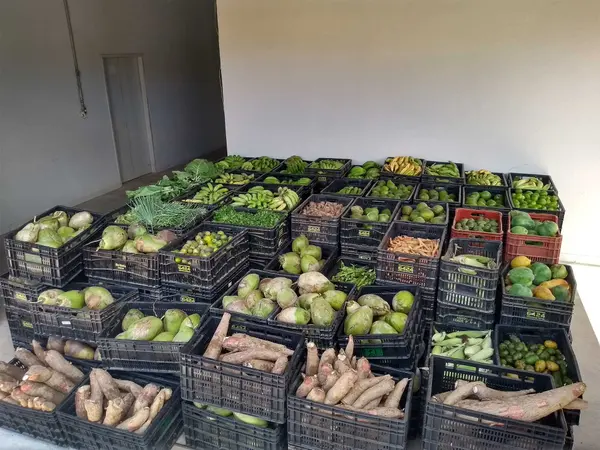 Estado vai investir até R$1,2 milhão para fomentar a modernização de bancos de alimentos municipais
