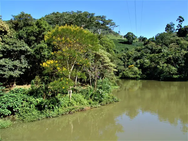 Novo Painel de Monitoramento do Licenciamento Ambiental em Minas disponibiliza acompanhamento de dados e cumprimento de metas