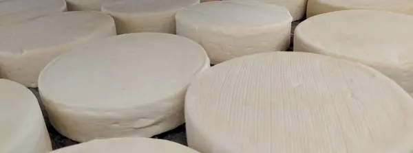 Governo do Estado simplifica acesso ao registro de queijarias artesanais