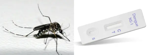 Governo de Minas vai distribuir testes rápidos de diagnóstico de dengue aos municípios