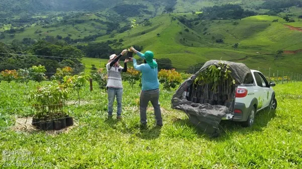 Plataforma Selo Verde integra 1,1 milhão de propriedades rurais e amplia rastreabilidade da pecuária em Minas