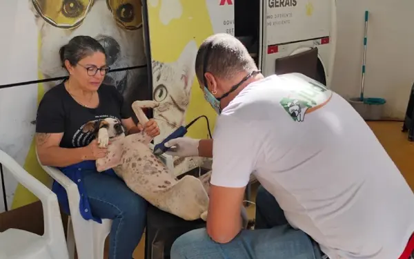 Projeto do Acordo de Brumadinho já possibilitou castração de mais de 6 mil cães e gatos em 19 cidades da região