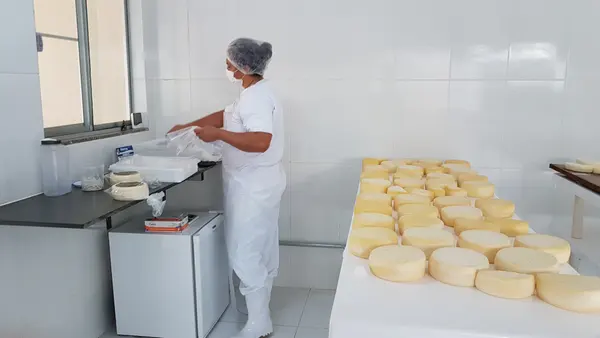 Dia Mundial do Queijo: em Minas, agroindústrias familiares produziram 43 mil toneladas em 2025