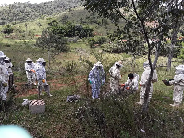  Idene doa kits a apicultores para expansão das atividades