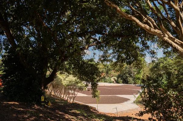 Empresários e prefeituras terão R$ 700 milhões em linhas de crédito do BDMG para fomentar economia verde no estado