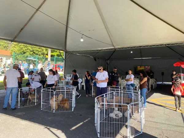 Mutirão em Betim ultrapassa meta com 1.462 mil castrações de cães e gatos