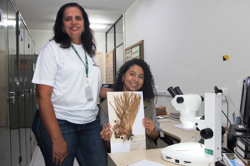 Agência Minas Gerais  Defesa Civil apresenta o trabalho dos órgãos  estaduais em Brumadinho ao Ministério do Turismo