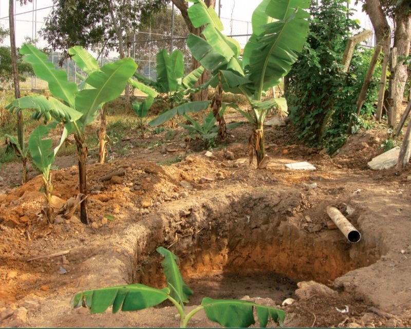 fossas ecológicas