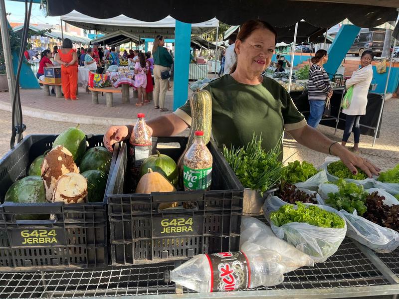 Maria de Lourdes Cordeiro Souza (Idene / Divulgação)