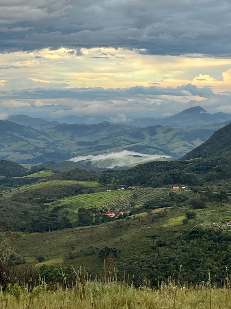 Angela Duque / Arquivo Pessoal