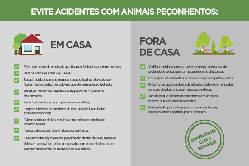 Agência Minas Gerais | Funed alerta sobre acidentes com animais peçonhentos
