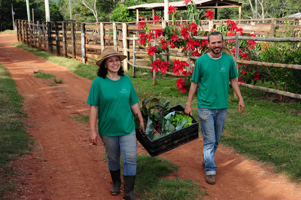 O casal planeja investir no cultivo de figo, uva, maracujá azedo e doce, além de mamão // Alexandre Soares/Emater-MG