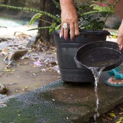 Unveil 8a21a6f614db065bb1ca2c21a5c803aede783f93e5277febbd47f37d9dbae4ca