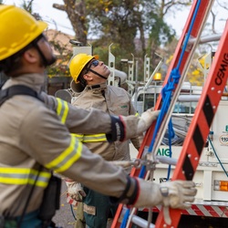 Unveil 8a21a6f614db065bb1ca2c21a5c803aede783f93e5277febbd47f37d9dbae4ca