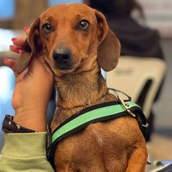 Unveil 8a21a6f614db065bb1ca2c21a5c803aede783f93e5277febbd47f37d9dbae4ca