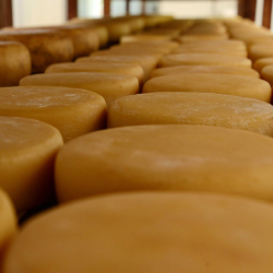 Unveil 8a21a6f614db065bb1ca2c21a5c803aede783f93e5277febbd47f37d9dbae4ca