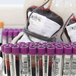 Unveil 8a21a6f614db065bb1ca2c21a5c803aede783f93e5277febbd47f37d9dbae4ca